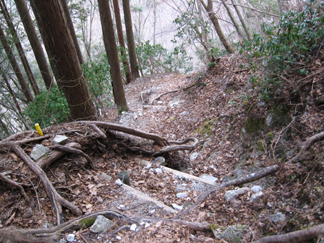 20200110hike (346)